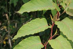 Image: Trevor James © Trevor James 